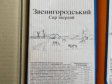 Сир твердий "Звенігородський",ДСТУ,50% жиру в сухій речовині
