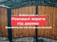 Ворота распашные, ворота откатные, навесы, балконы, заборы.